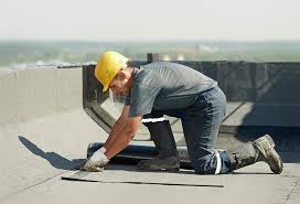 Best Roof Coating and Sealing  in Lake Waynoka, OH